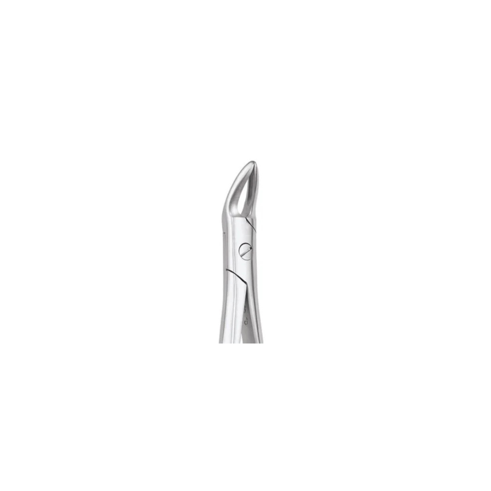 hundal - 2026-09-08T154302.790